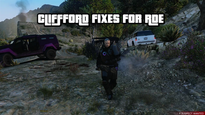Исправления Cliffford для RDE