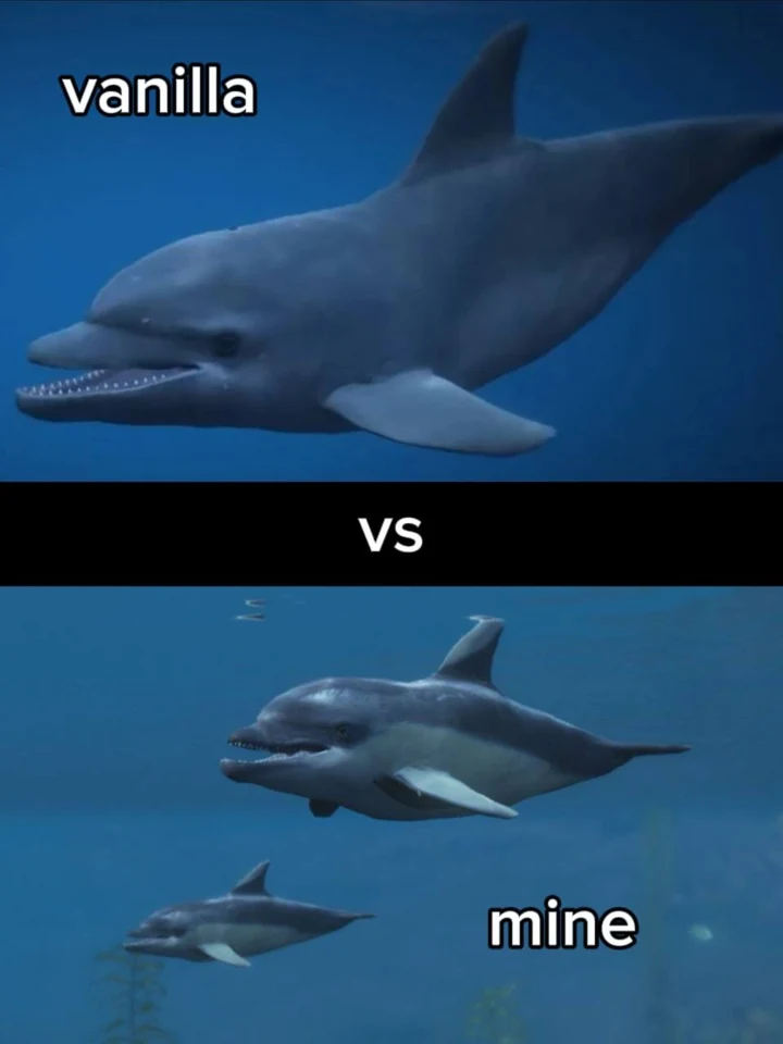 Скриншот 2