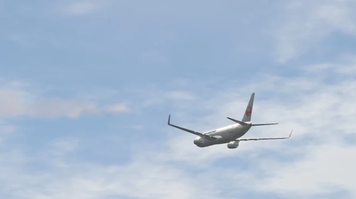 Ливрея JAL для Boeing 737-800