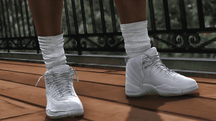 Jordan Retro 12 для MP Male