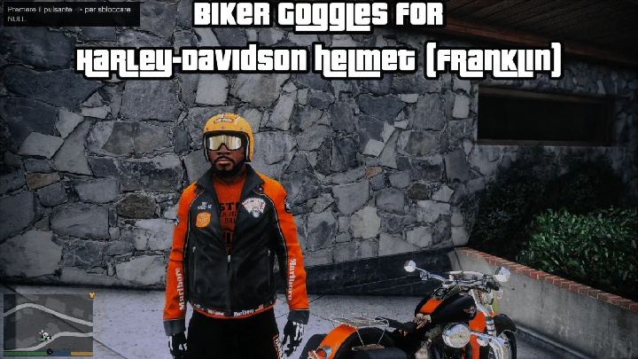 Байкерские очки для шлема Harley-Davidson Франклина [Legacy]
