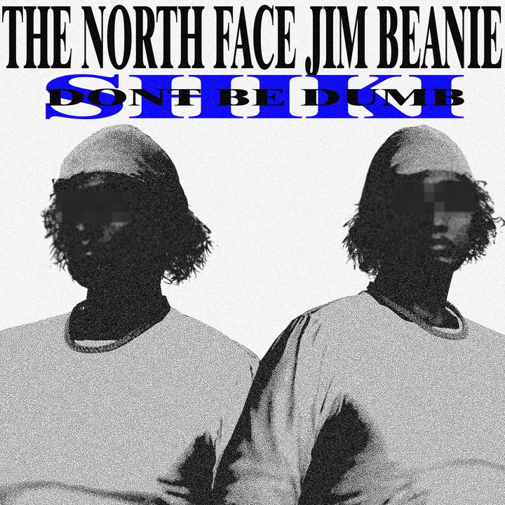 Шапка The North Face Jim