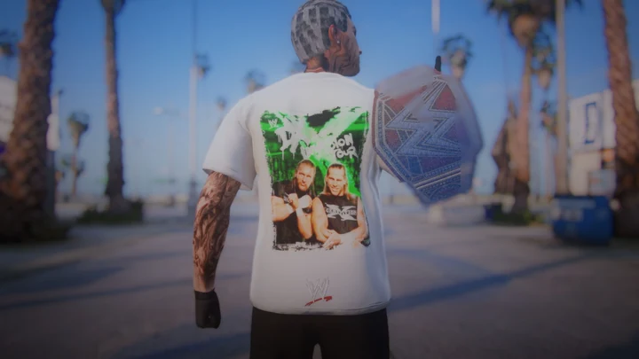 Мужские футболки с принтами WWE