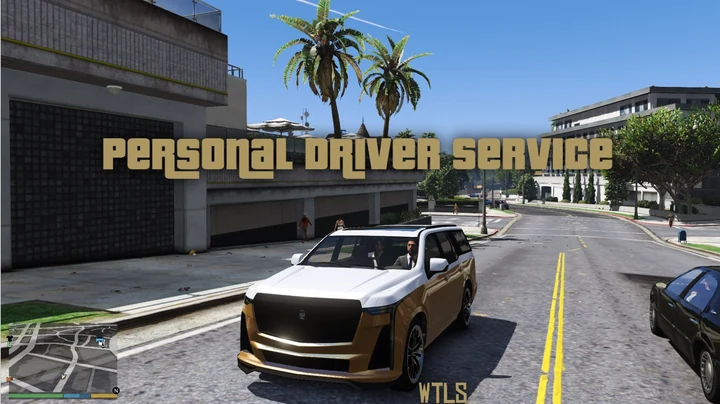 Услуги личного водителя [NPC-автопилот]