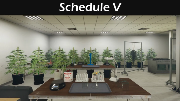 Schedule V [Производство и продажа наркотиков]