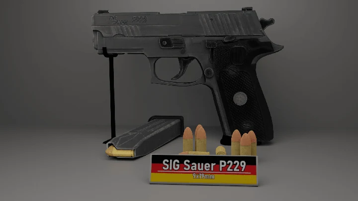 SIG Sauer P229 из Ready or Not