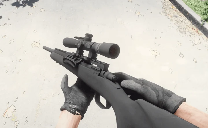 Add-On-конфигурация для M24 SWS от WisraelRX