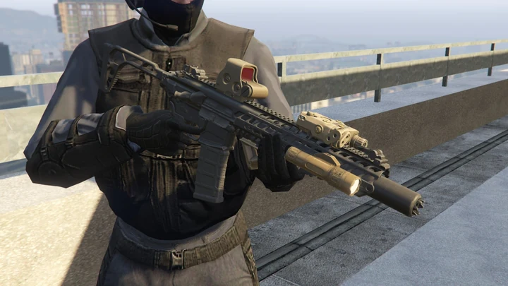 SIG MCX .300