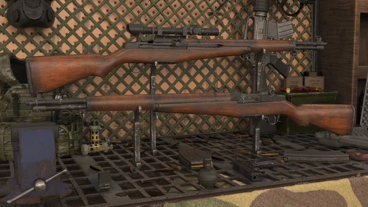 Springfield Armory M1 Garand из INS2